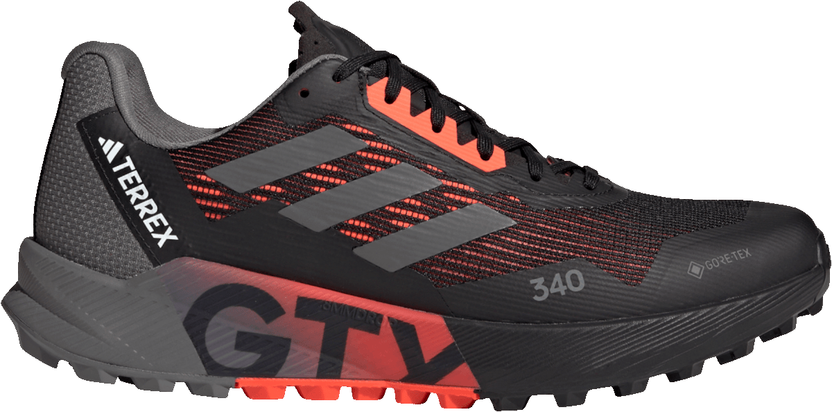Trail-Schuhe adidas TERREX AGRAVIC FLOW 2 GTX